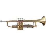 Soundsation STPGD-10 Gold - Trompeta Si bemol