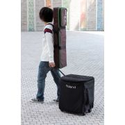 Produs dezactivat din oferta magazinului