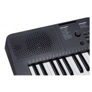 Medeli MK100 - Orga Electronica