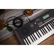 Roland E-X10 - Orga electronica, husa si stativ