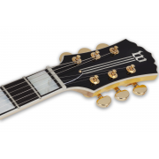 Wylde Audio Odin Grail Genesis - Chitara electrica