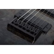 Schecter C-1 Standard (BFBB) - Chitara electrica