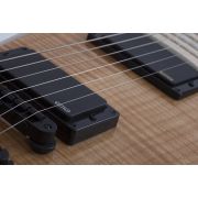 Wylde Audio Blood Eagle Rawtop - Chitara electrica