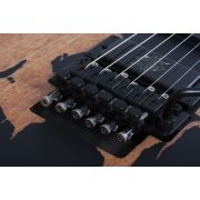 Schecter Synyster Custom-S DSBK - Chitara electrica