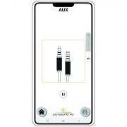 Soundsation PROVIBE 8AIR - Boxa portabila cu microfon wireless, MP3/Bluetooth, 250W
