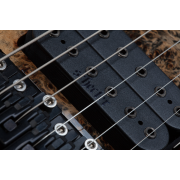 Schecter C-6 Pro FR CB - Chitara electrica, hardcase