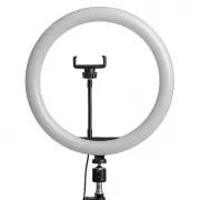 Inchiriere - Audio & Stream Kit - Maono AMC2 NEO, Maono G1 Neo, AU-WM821, Lampă LED și Trepied