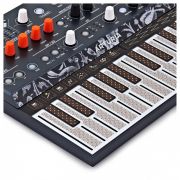 Arturia MicroFreak - Sintetizator Hibrid