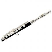 SOUNDSATION SFP-10 - Fluier piccolo în tonalitatea Do, finisaj silver