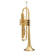 SOUNDSATION STPGD-10E - Trompeta Si bemol, pentru incepatori