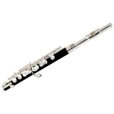 SOUNDSATION SFP-10 - Fluier piccolo în tonalitatea Do, finisaj silver
