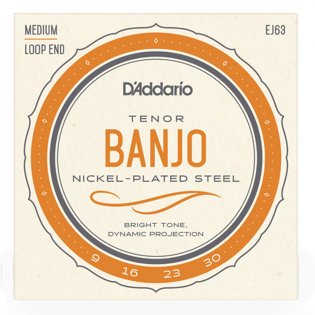 D'Addario EJ63 - Corzi Banjo Tenor