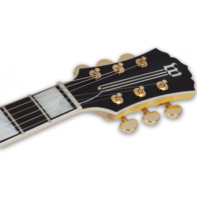 Wylde Audio Odin Grail Genesis - Chitara electrica