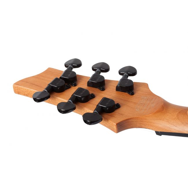Schecter C-1 Standard (BFBB) - Chitara electrica