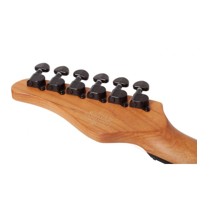 Schecter PT Standard (BFBB) - Chitara electrica