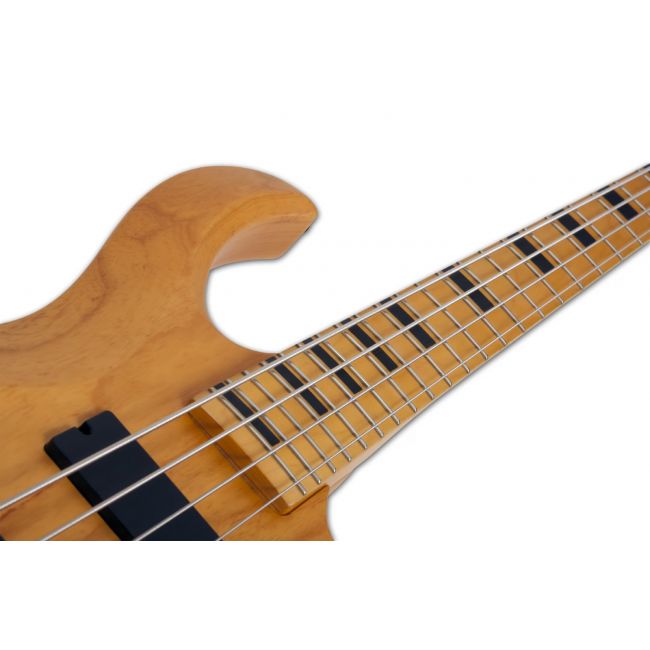 Schecter Riot-4 Session - Bass electric