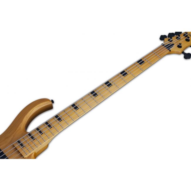 Schecter Riot-5 Session - Bass electric