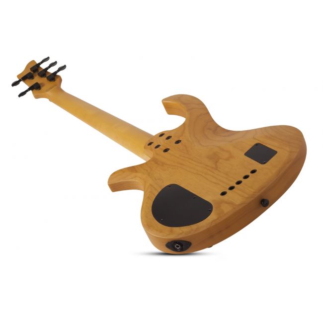 Schecter Riot-5 Session - Bass electric