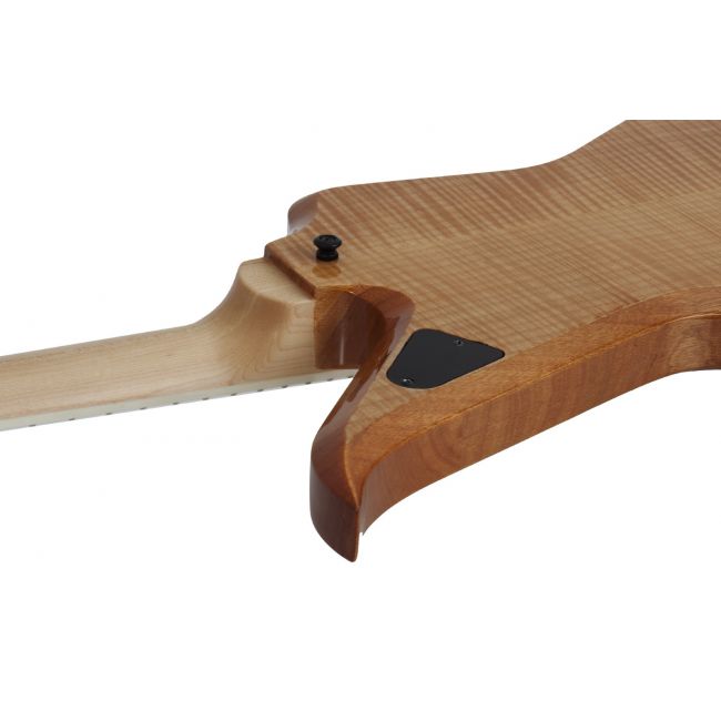 Wylde Audio Blood Eagle Rawtop - Chitara electrica