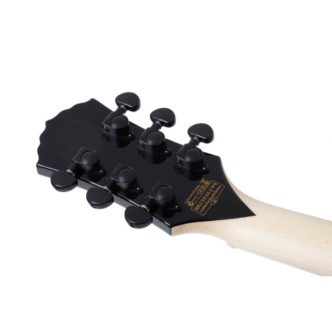 Wylde Audio Goregehn RB - Chitara electrica
