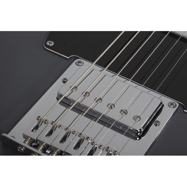 Schecter PT EX (DG) Baritone Electric Guitar - Chitara electrica