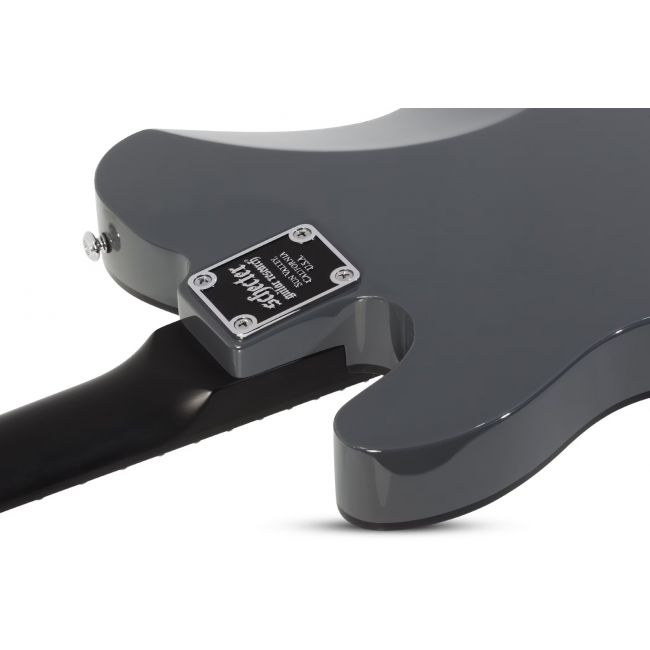 Schecter PT EX (DG) Baritone Electric Guitar - Chitara electrica