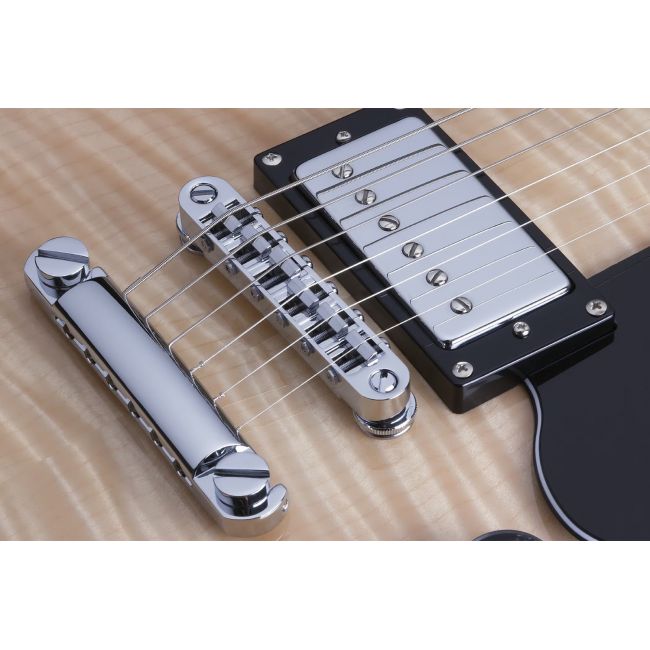 Schecter Solo-II Custom (GNAT - Chitara electrica