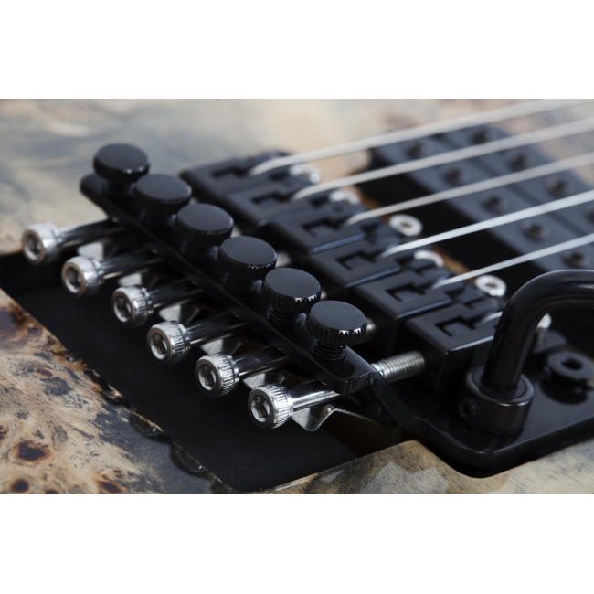Schecter C-6 Pro FR CB - Chitara electrica, hardcase