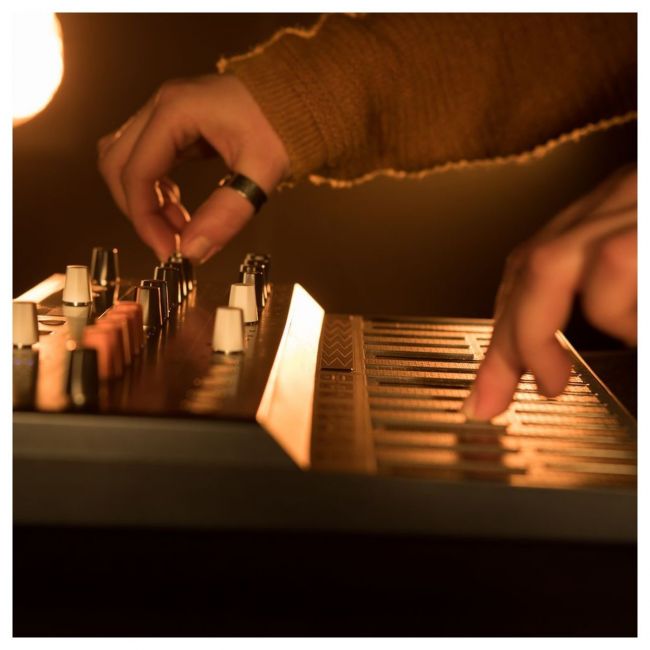 Arturia MicroFreak - Sintetizator Hibrid