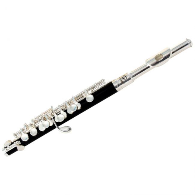 SOUNDSATION SFP-10 - Fluier piccolo în tonalitatea Do, finisaj silver