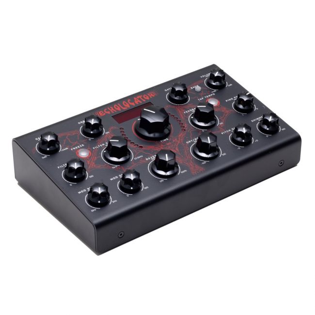 Erica Synths Echolocator - Delay Stereo